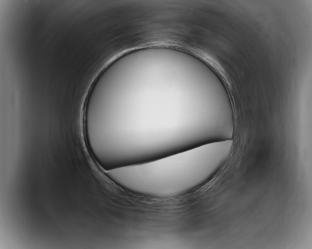 X0000089371439200706150834