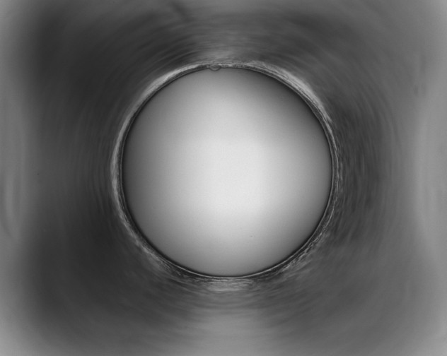 X0000089371440200706150834