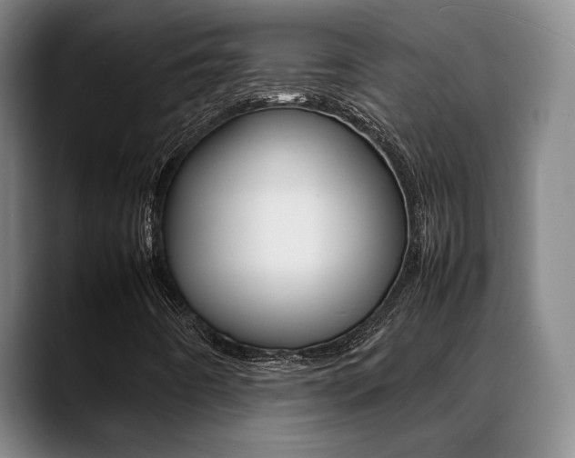 X0000089371442200706150834