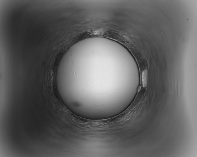 X0000089371443200706150834
