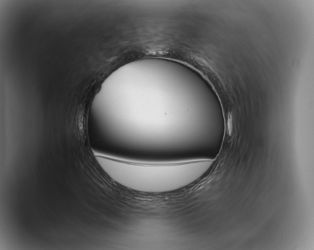 X0000089371444200706150834
