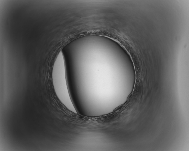 X0000089371445200706150834