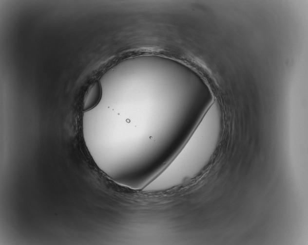 X0000089371448200706150834
