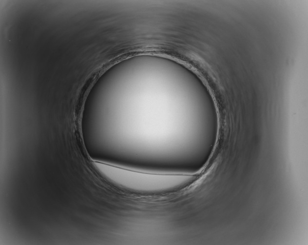 X0000089371449200706150834