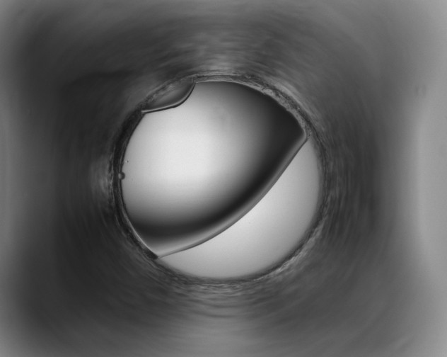 X0000089371450200706150834