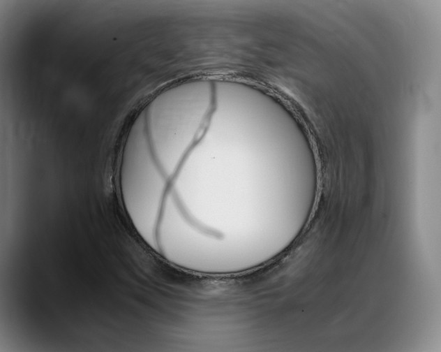 X0000089371451200706150834