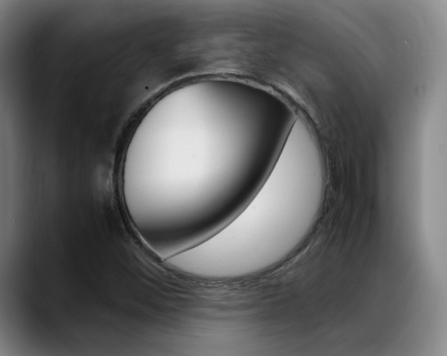 X0000089371452200706150833