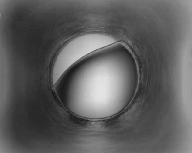 X0000089371453200706150833