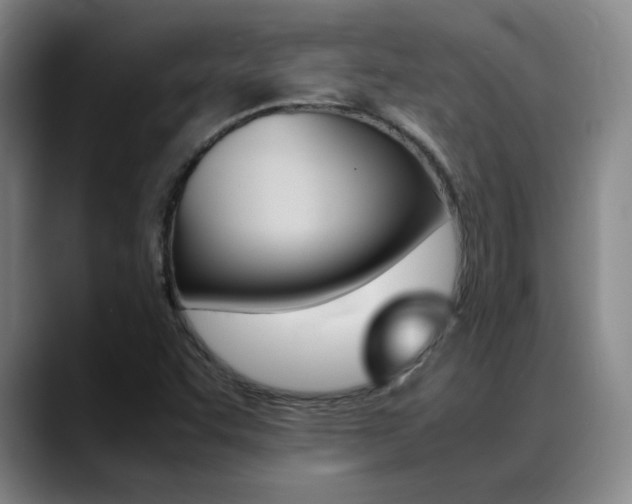 X0000089371455200706150833