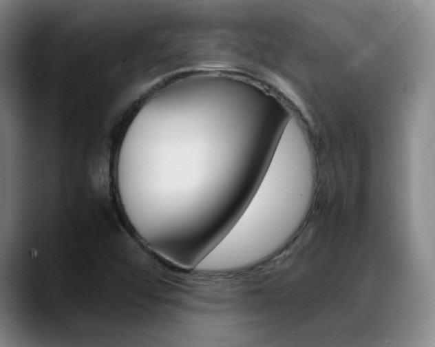 X0000089371456200706150833