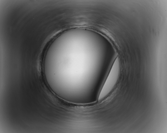 X0000089371458200706150833