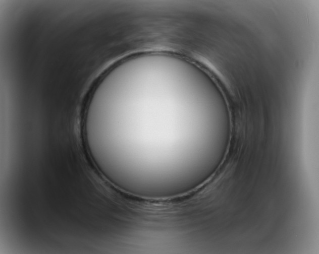 X0000089371460200706150833