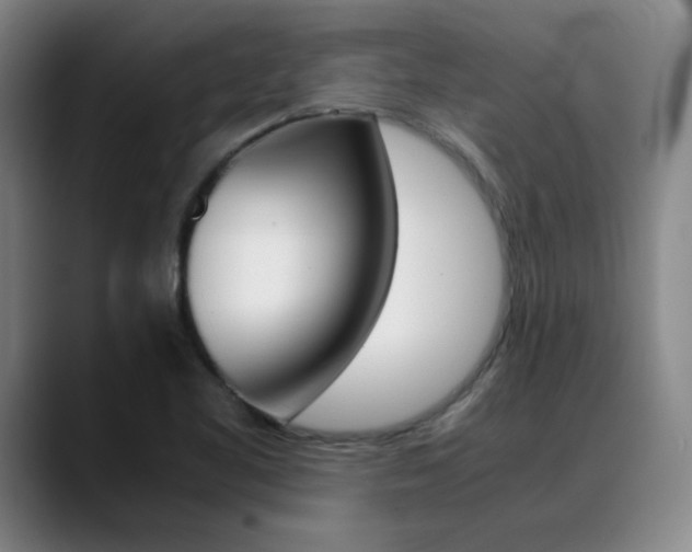 X0000089371461200706150833