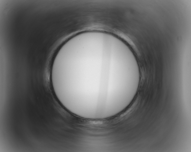 X0000089371462200706150833
