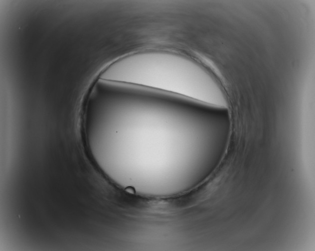 X0000089371463200706150833
