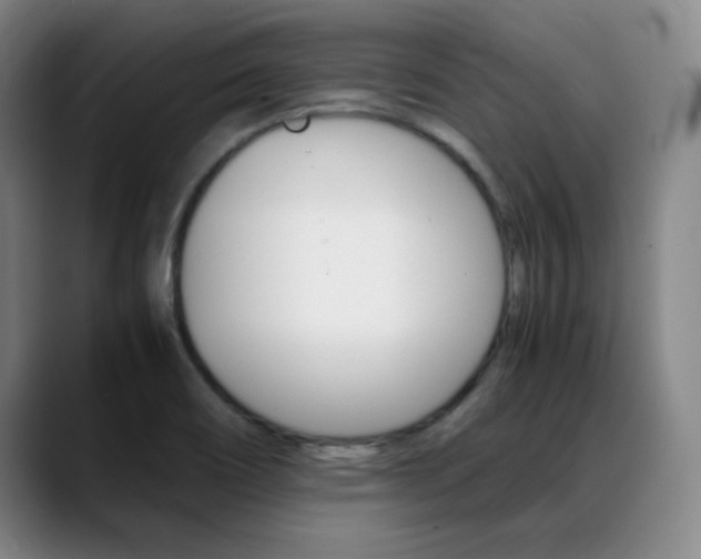 X0000089371466200706150833