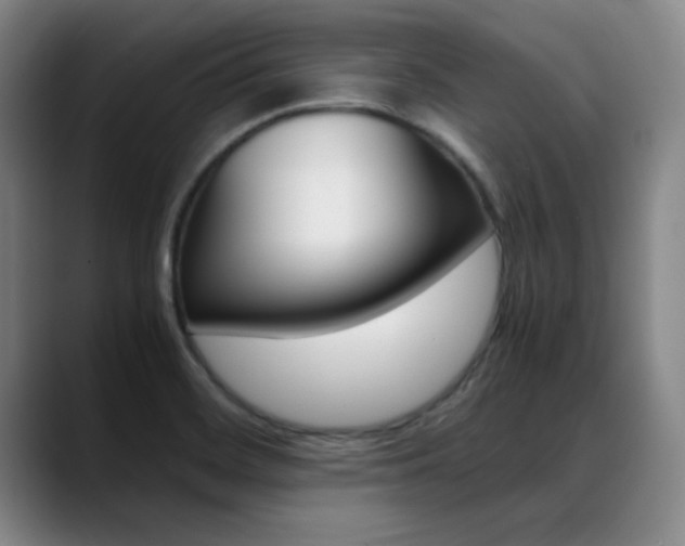X0000089371468200706150833