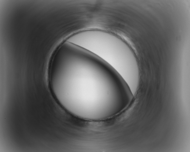 X0000089371469200706150833