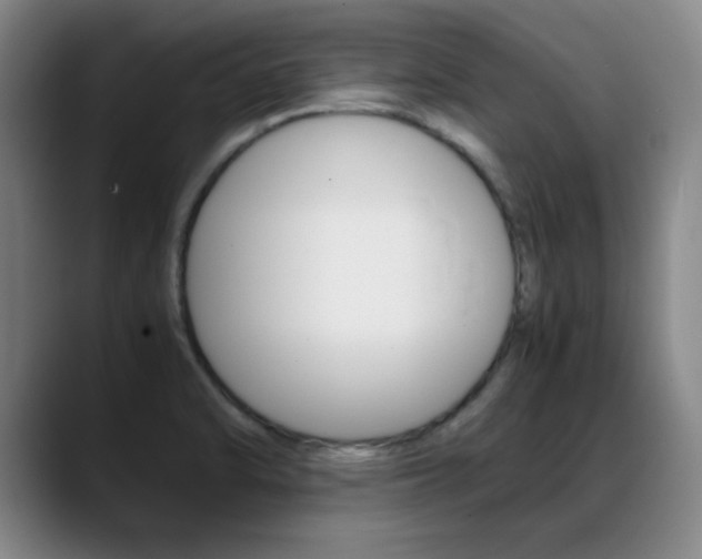 X0000089371470200706150833