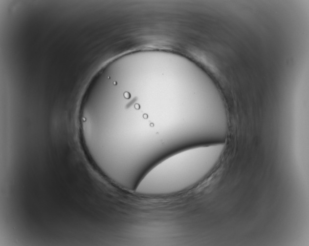 X0000089371471200706150833