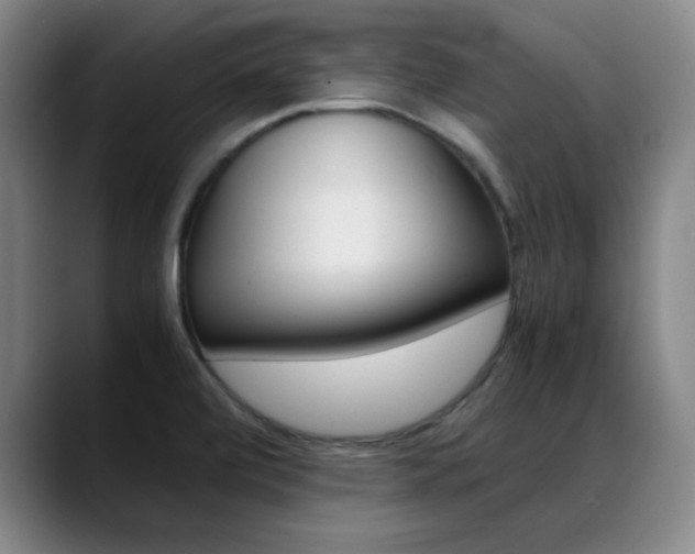 X0000089371472200706150833