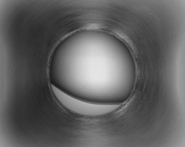 X0000089371473200706150833
