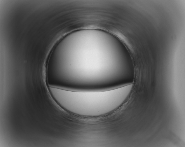 X0000089371476200706150833