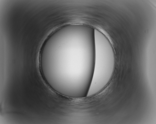 X0000089371477200706150833