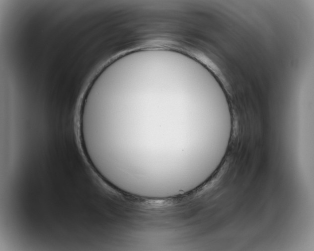 X0000089371478200706150833