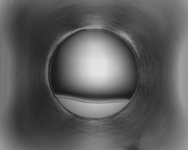 X0000089371480200706150833