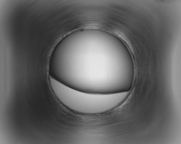 X0000089371481200706150833