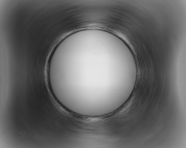 X0000089371482200706150833