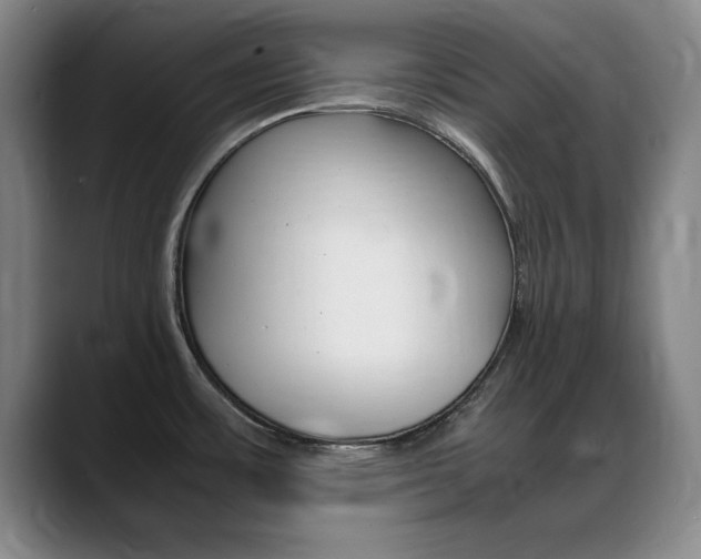 X0000089371483200706150833