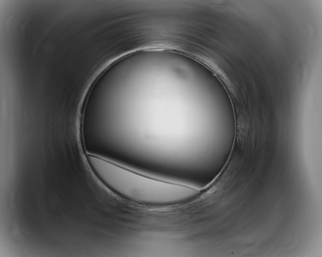 X0000089371484200706150833