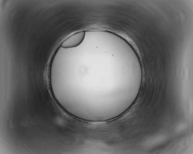 X0000089371486200706150833