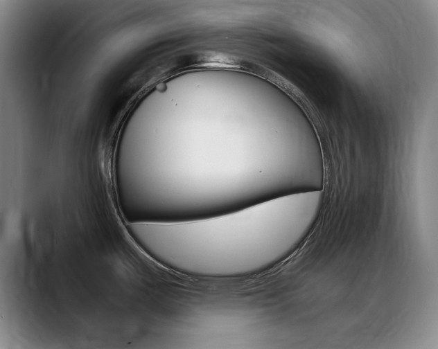 X0000089371487200706150833