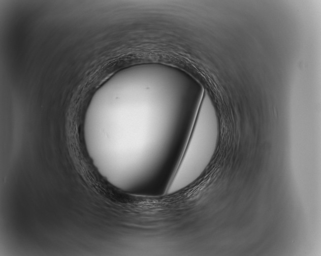X0000089371489200706150832