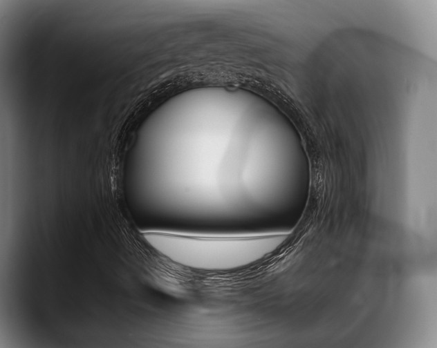 X0000089371490200706150832