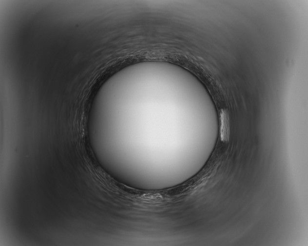 X0000089371491200706150832
