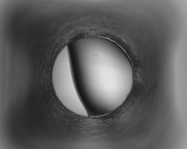 X0000089371493200706150832