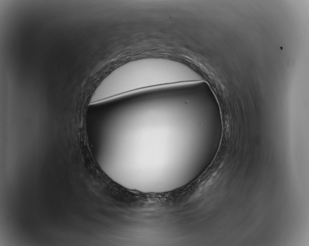 X0000089371494200706150832