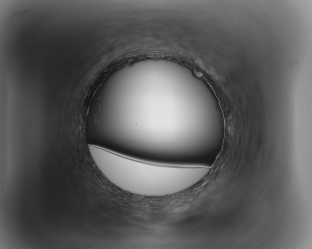 X0000089371495200706150832
