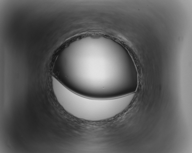 X0000089371496200706150832
