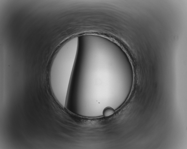 X0000089371497200706150833