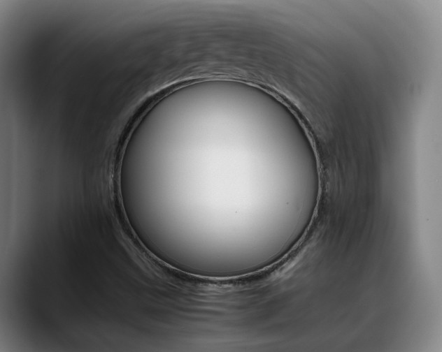 X0000089371499200706150833