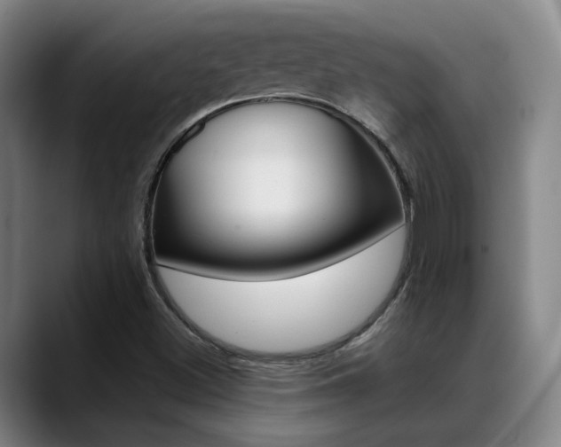 X0000089371500200706150833