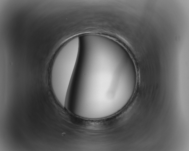 X0000089371501200706150833