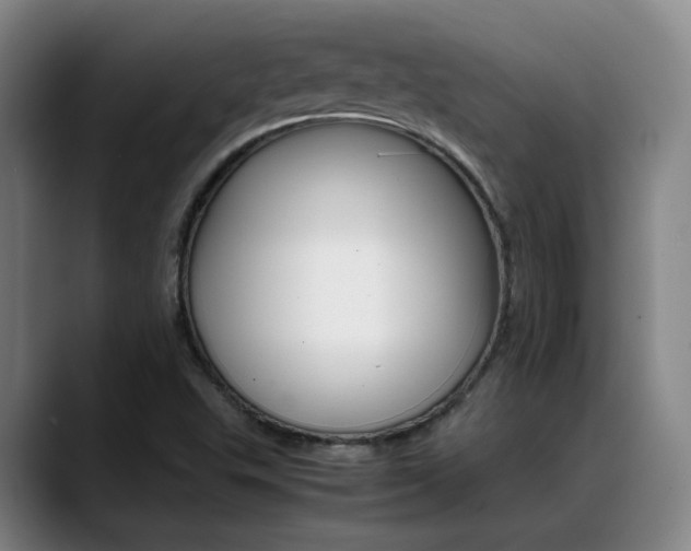 X0000089371503200706150833