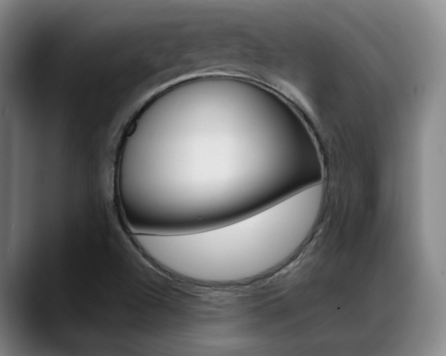 X0000089371504200706150833