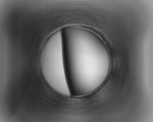 X0000089371505200706150833